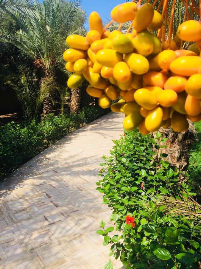 Riad Le Jasmin 塔鲁丹特 外观 照片