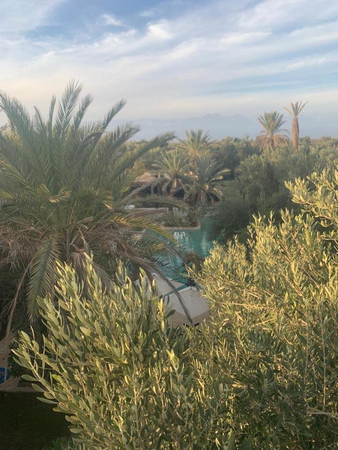 Riad Le Jasmin 塔鲁丹特 外观 照片