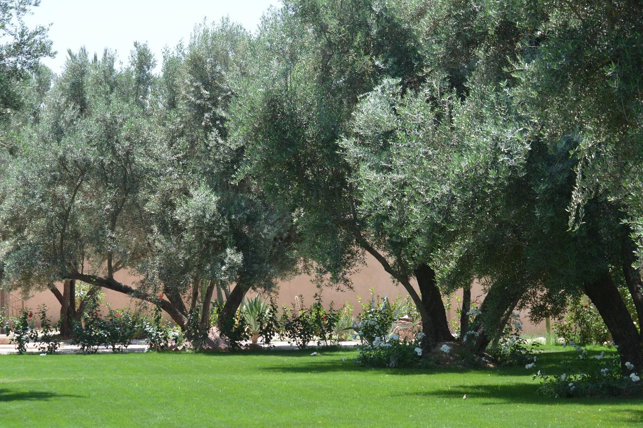 Riad Le Jasmin 塔鲁丹特 外观 照片