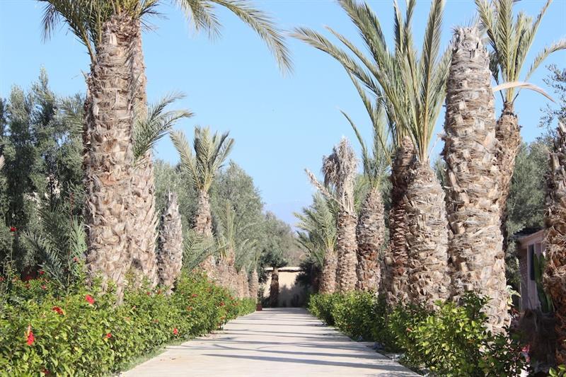 Riad Le Jasmin 塔鲁丹特 外观 照片